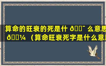 算命的旺衰的死是什 🐯 么意思 🌼 （算命旺衰死字是什么意思）